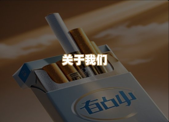 关于御龙烟网